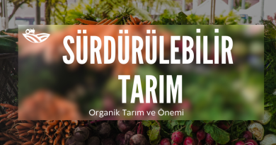 surdurulebilir-tarım