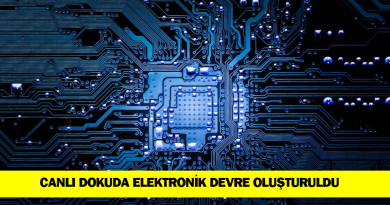 canli-dokuda-elektronik-devre-olusturuldu